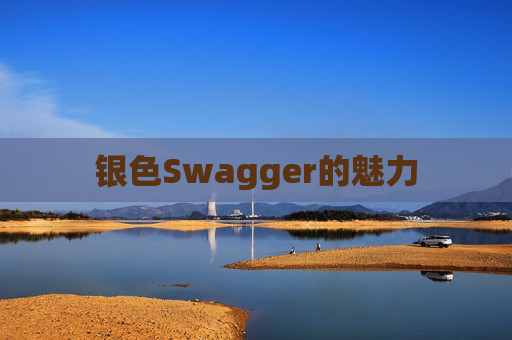 银色Swagger的魅力